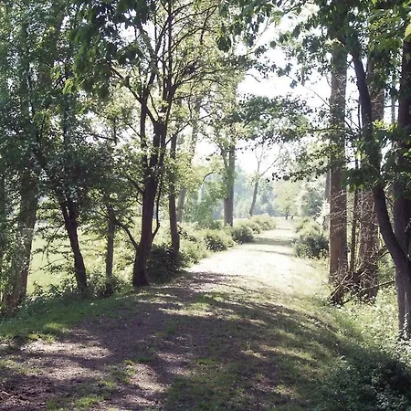Niesamowity Dom W Z Wifi Romery (Aisne)
